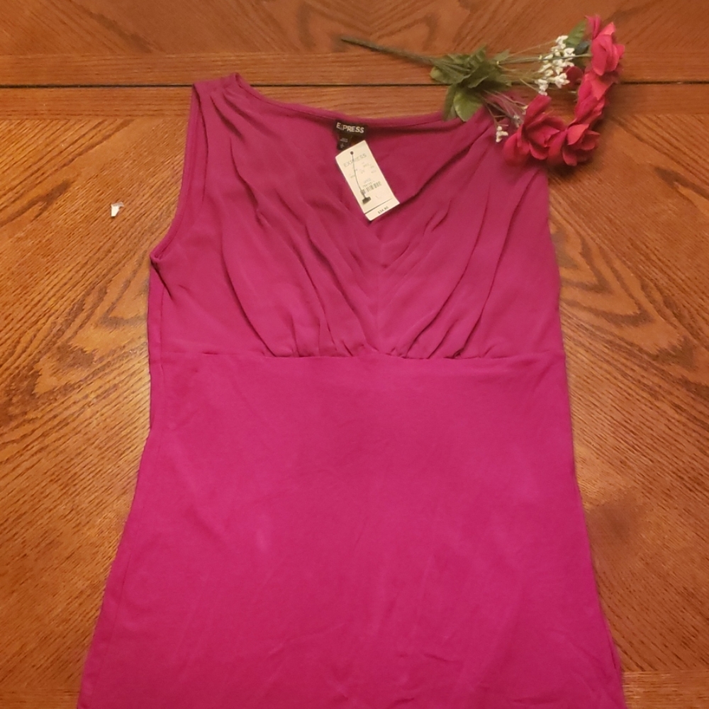 Express women Sleeveless  blouse  nwt large